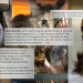 Aiko’s caregivers seek justice for abused cat with maggot-infested neck that was allegedly abandoned