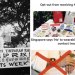 Do Petitions help move the needle on issues in Singapore?