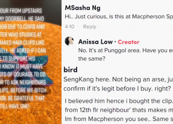 Jobless “neighbour from upstairs” sells hair-clips purportedly made by “daughter in Pathlight” in Punggol