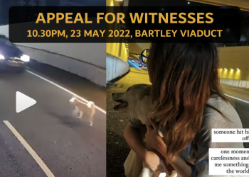 Luca’s owner appeals for witnesses to hit and run at Bartley Viaduct on 23 May 2022 at 10.30pm