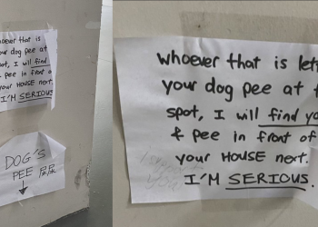 “I will find you and pee in front of your house next” – Dog pee at void deck causes resident to write angry note