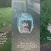 ‘You’re an angel’ – Internet praises man who rescued cats abandoned at Marsiling Park at Midnight by culprit who drove off