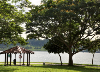 5 Things To Do In Bedok This Weekend