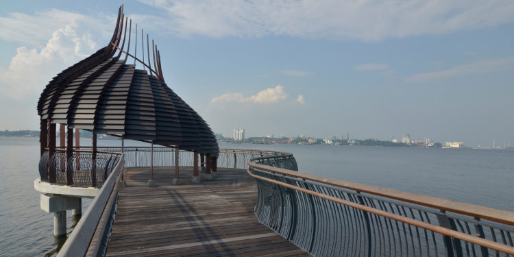 Visit Sungei Buloh Wetland Reserve To Kick Off A Healthy Lifestyle