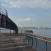 Visit Sungei Buloh Wetland Reserve To Kick Off A Healthy Lifestyle