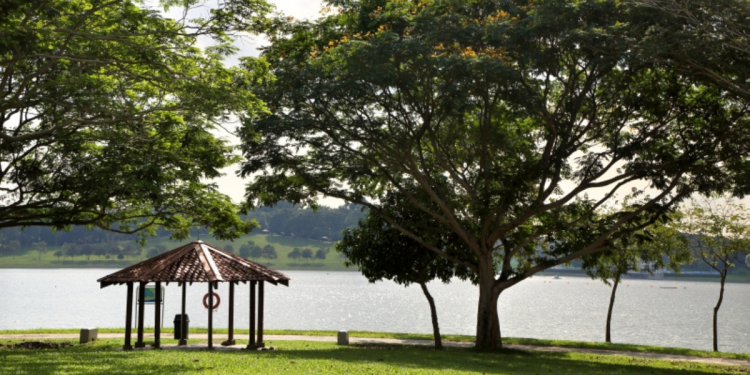 5 Things To Do In Bedok This Weekend
