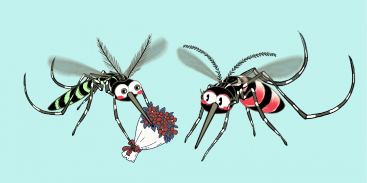 Project Wolbachia | Singapore’s Ingenious Way To Curb Dengue