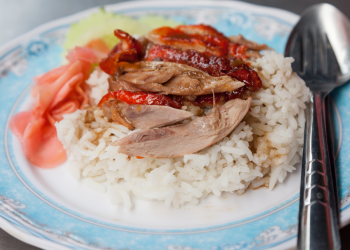 5 Popular Duck Rice Dishes To Try In Singapore