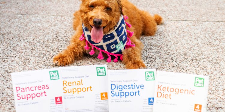 PetCubes Spearheads Innovation in Pet Health with Launch of ‘Veterinary Support Diet’ Range