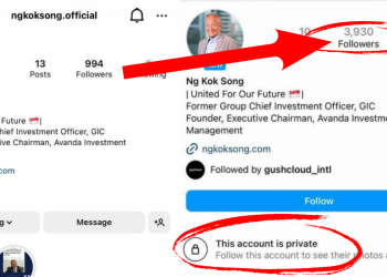 Presidential hopeful Ng Kok Song responds to allegations of artificially inflating Instagram followers