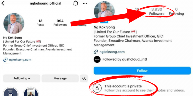 Presidential hopeful Ng Kok Song responds to allegations of artificially inflating Instagram followers