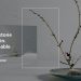 The Art of Interior Design: Elevating Spaces with Caesarstone’s Porcelain Collection