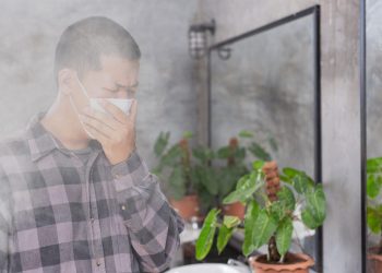 Tenant’s landlord excessively burns incense and takes renter’s food & toiletries without permission