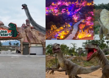 Monkey’s Canopy: Home to Dino Desert, Malaysia’s Largest Dinosaur Park