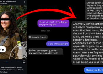 EXCLUSIVE: Why the photo of an IDF Lone Soldier with a Singapore flag was deleted by Menacham Mendel Geisinsky
