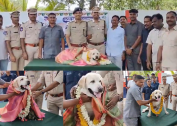 After 12 Years of Dedication, Sniffer Dog Tara Retires