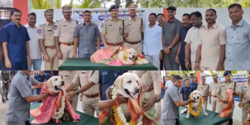 After 12 Years of Dedication, Sniffer Dog Tara Retires