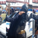 Batman Arrested by Malaysian Police in Unexpected Stunt