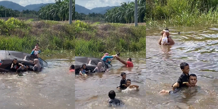 Swerving to Miss Monkeys, Family’s Car Dove into a Ditch