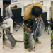 “Be Patient!” – Owner Scolding Furry for Eagerly Jumping into Bag