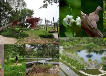 The New Bidadari Park: Bidadari Estate’s Green Lung