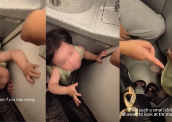 Chinese Women Film Themselves Scolding Crying Toddler in Airplane Bathroom