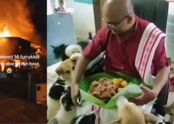 “I Lost Everything Within an Hour” – Man Loses 14 Pet Dogs in Penang House Fire