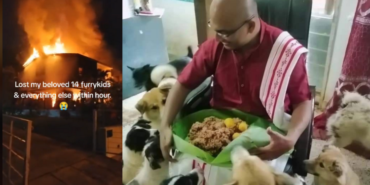 “I Lost Everything Within an Hour” – Man Loses 14 Pet Dogs in Penang House Fire