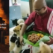 “I Lost Everything Within an Hour” – Man Loses 14 Pet Dogs in Penang House Fire