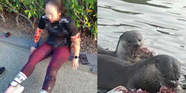 Malaysian Woman Injured in Rare Otter Attack at Sabah Park