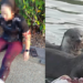 Malaysian Woman Injured in Rare Otter Attack at Sabah Park