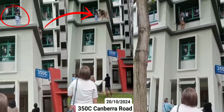 Child Rescued by Man from Falling Off Third-Storey Ledge at Canberra HDB