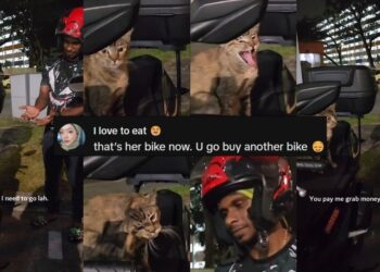 ‘Excuse me, I’m talking to you’ — Man Hilariously Confronts Cat Claiming His Motorbike Seat