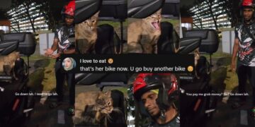 ‘Excuse me, I’m talking to you’ — Man Hilariously Confronts Cat Claiming His Motorbike Seat