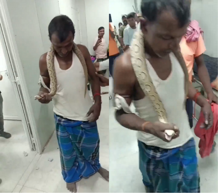 Indian Man Walks Into Hospital Holding Snake That Bit Him Wake Up