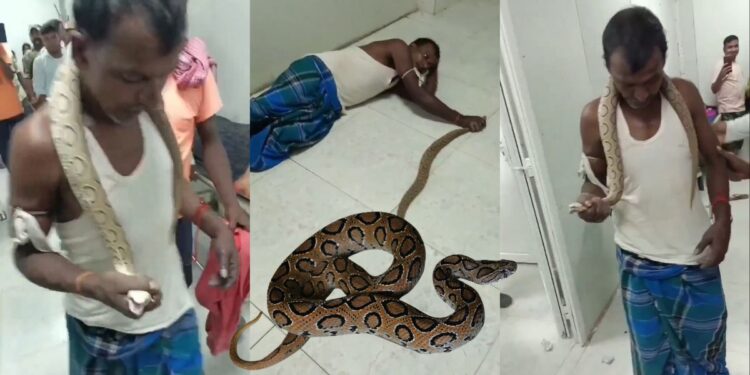 Indian Man Walks Into Hospital Holding Snake That Bit Him