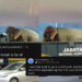 Malaysians Amused as Two Elephants Hitch a Ride for a Surprise Petrol Stop