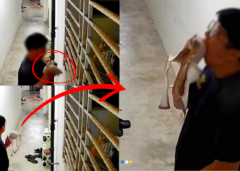 M’sian Man Caught on CCTV Stealing Bra and Pleasuring Himself