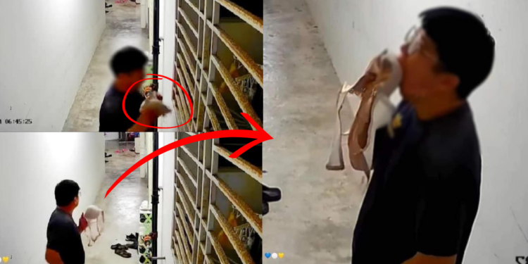 M’sian Man Caught on CCTV Stealing Bra and Pleasuring Himself