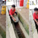 Prata Stall Worker in Malaysia Caught Washing Wok with Drain Water