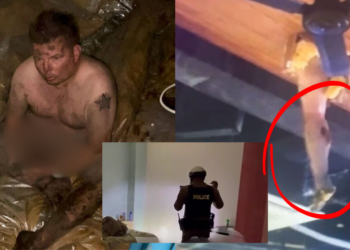 Drunk British Tourist Falls Naked and Covered in Poop Through Ceiling in Thailand