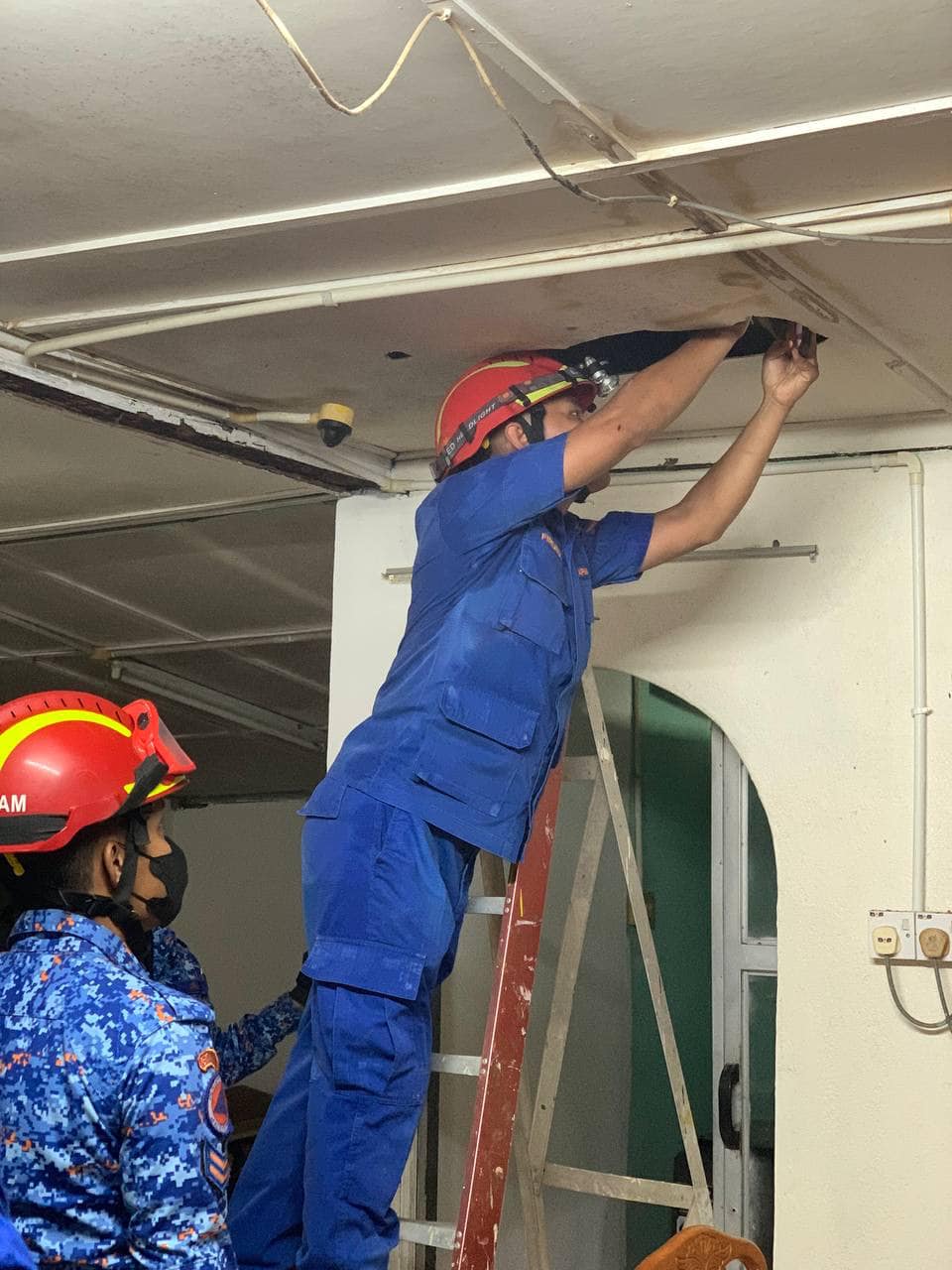 Massive Python Crashes Through Ceiling, Landing on Family Sofa in Perak ...