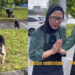 Restaurant Owner in Johor Face Threats and Boycotts Over Feeding Stray Dogs