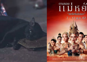 Thai Drama Faces Backlash After Putting Cat Under Anesthesia for Death Scene