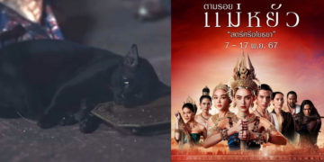 Thai Drama Faces Backlash After Putting Cat Under Anesthesia for Death Scene