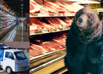 Bear Captured After Causing Chaos in Japan Supermarket for Two Days