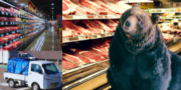 Bear Captured After Causing Chaos in Japan Supermarket for Two Days