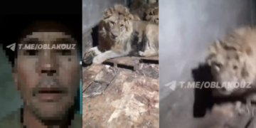 Zookeeper Fatally Mauled by Lions While Filming to “Impress Girlfriend”