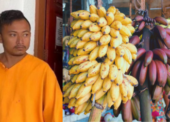 Widowed Father of Three Jailed for Stealing Bananas, Sentence Reduced to 10 Days