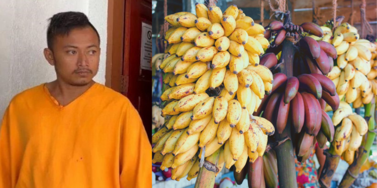 Widowed Father of Three Jailed for Stealing Bananas, Sentence Reduced to 10 Days